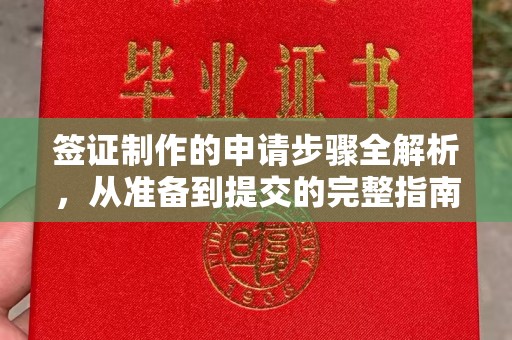 平定签证制作的申请步骤全解析，从准备到提交的完整指南